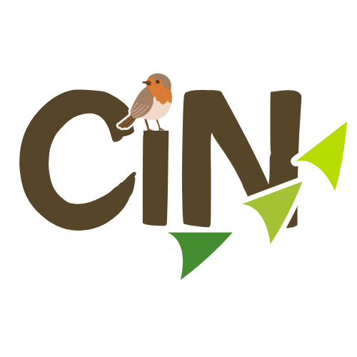CIN