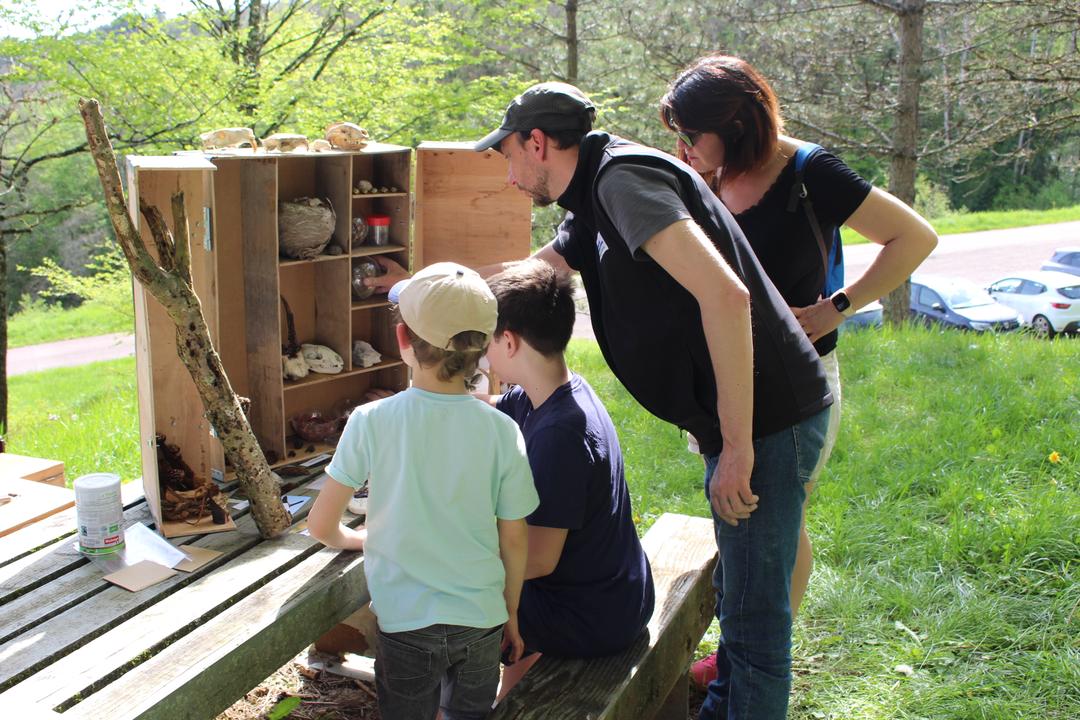 Cabinet de curiosités