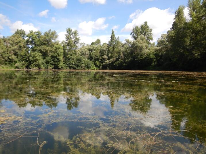 Vallée de la Marne 