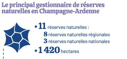 gestionnaire de réserve