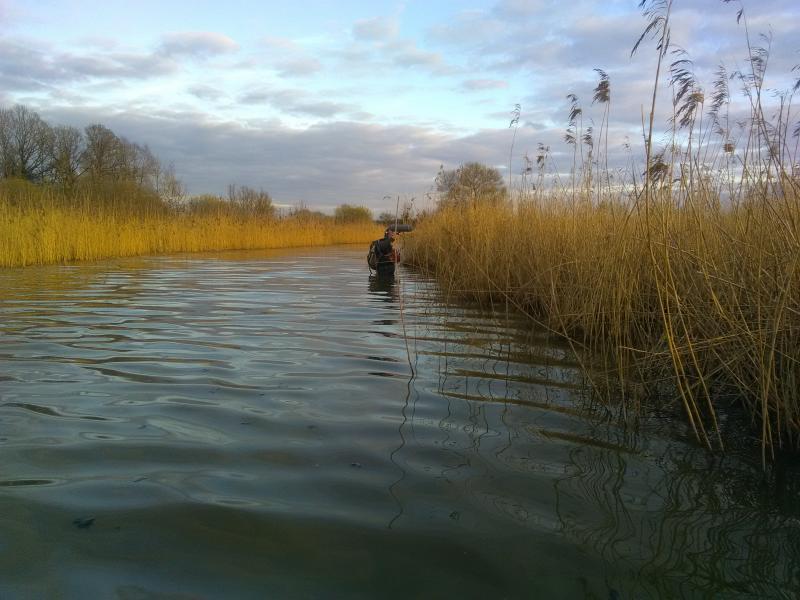 Julian Pichenot entrain d'enregistrer le chant du Butor étoilé