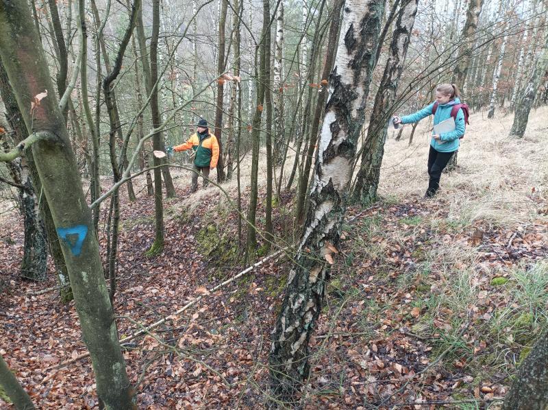 Abris naturel à conserver pour les moutons