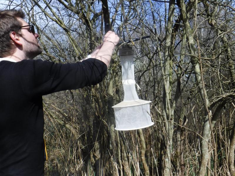 Piège pour moustiques adultes