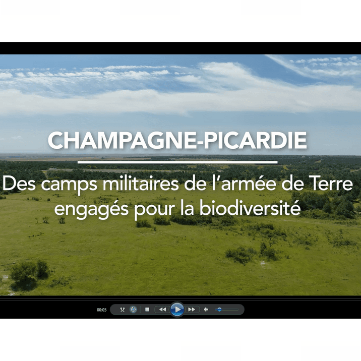Aperçu de la video "Champagne-Picardie : des camps militaires de l'armée de Terre engagés pour la biodiversité"