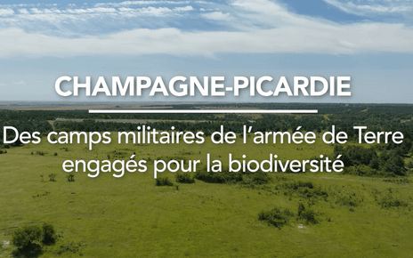 Aperçu de la video "Champagne-Picardie : des camps militaires de l'armée de Terre engagés pour la biodiversité"